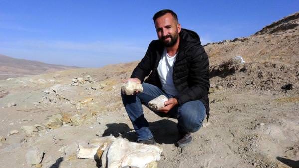 Kayseri'de 7,5 milyon yıllık yeni fosil bulundu