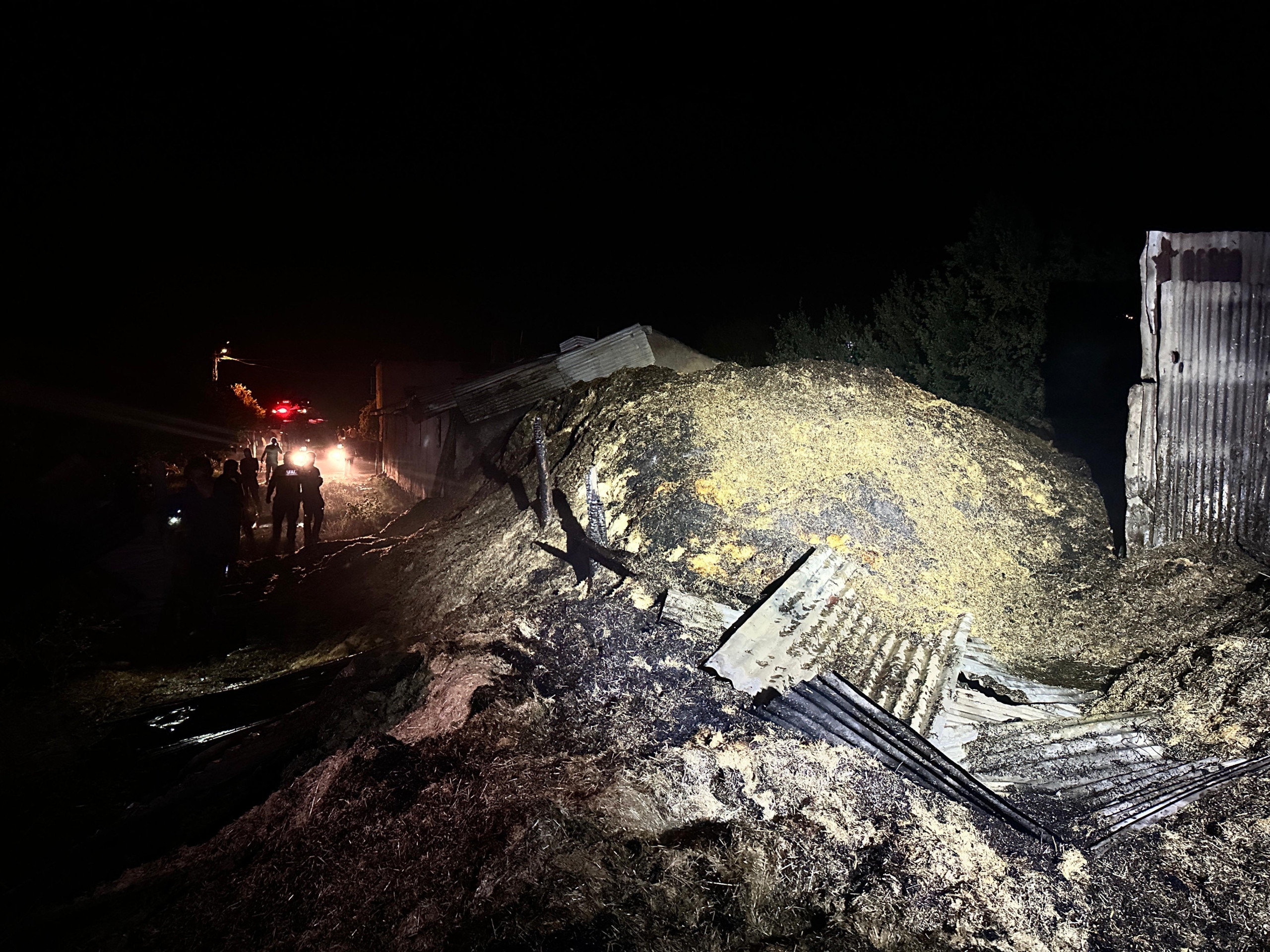 Tunceli’de ahırda yangın: 16 büyükbaş öldü, 18’i yara