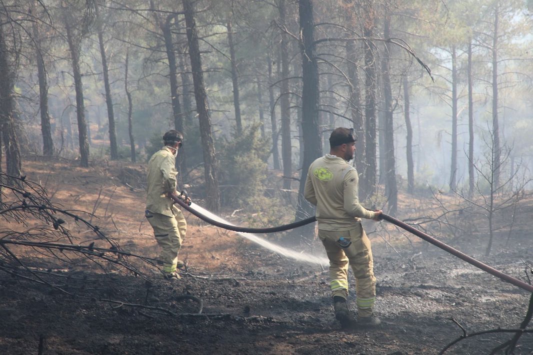 Kütahya'da orman yangını (2)