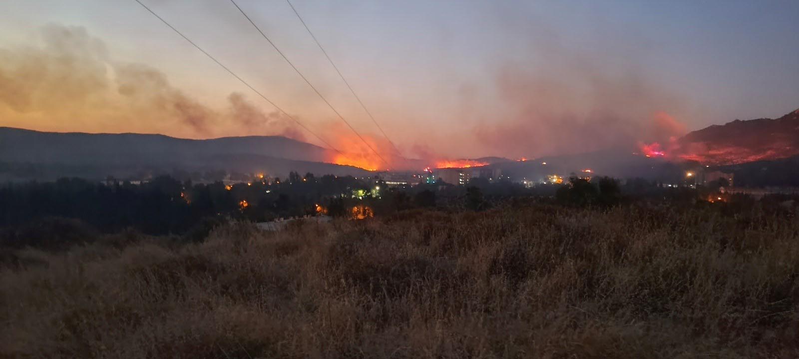 Foça'da orman yangını (3)
