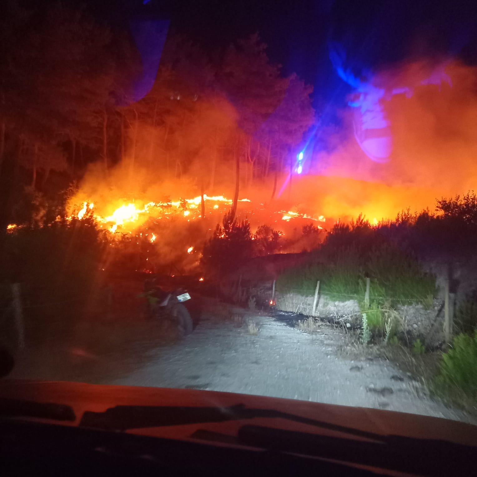 Çanakkale'de orman yangını (2)