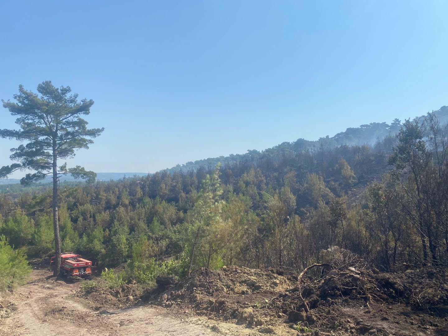 Çanakkale Ayvacık'taki orman yangını 2'nci gününde