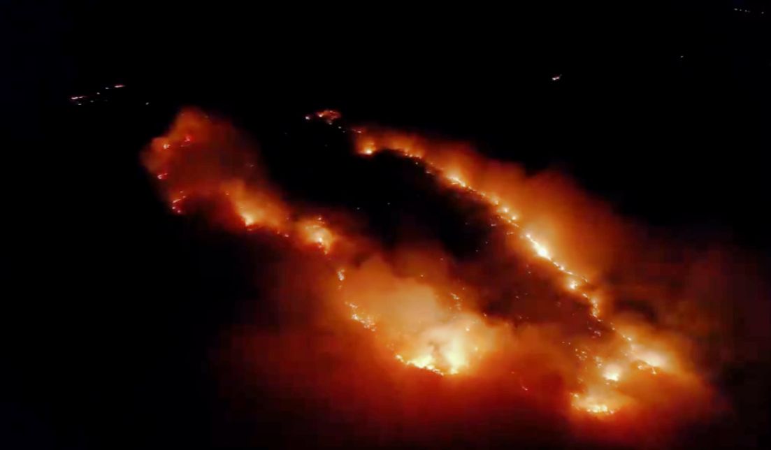 Elazığ’da orman yakınında örtü yangını