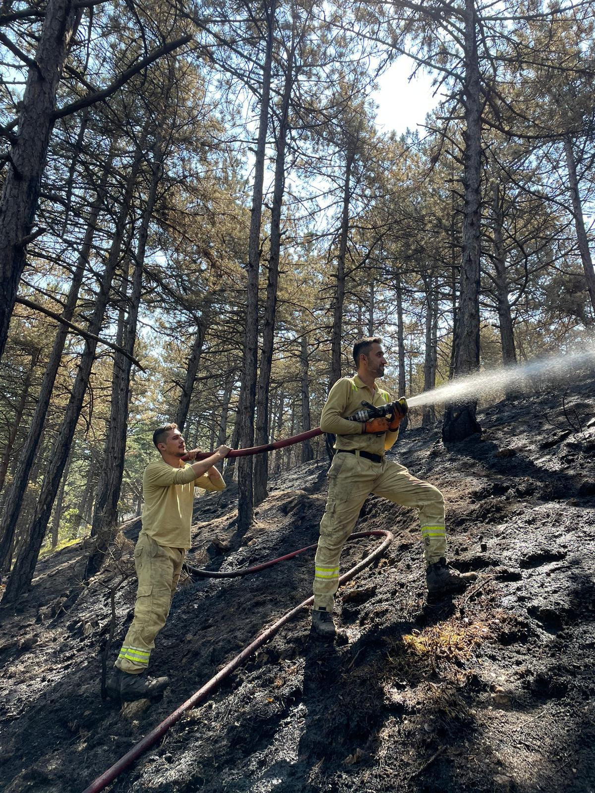 Karabük'teki orman yangınında 12 hektar zarar gördü