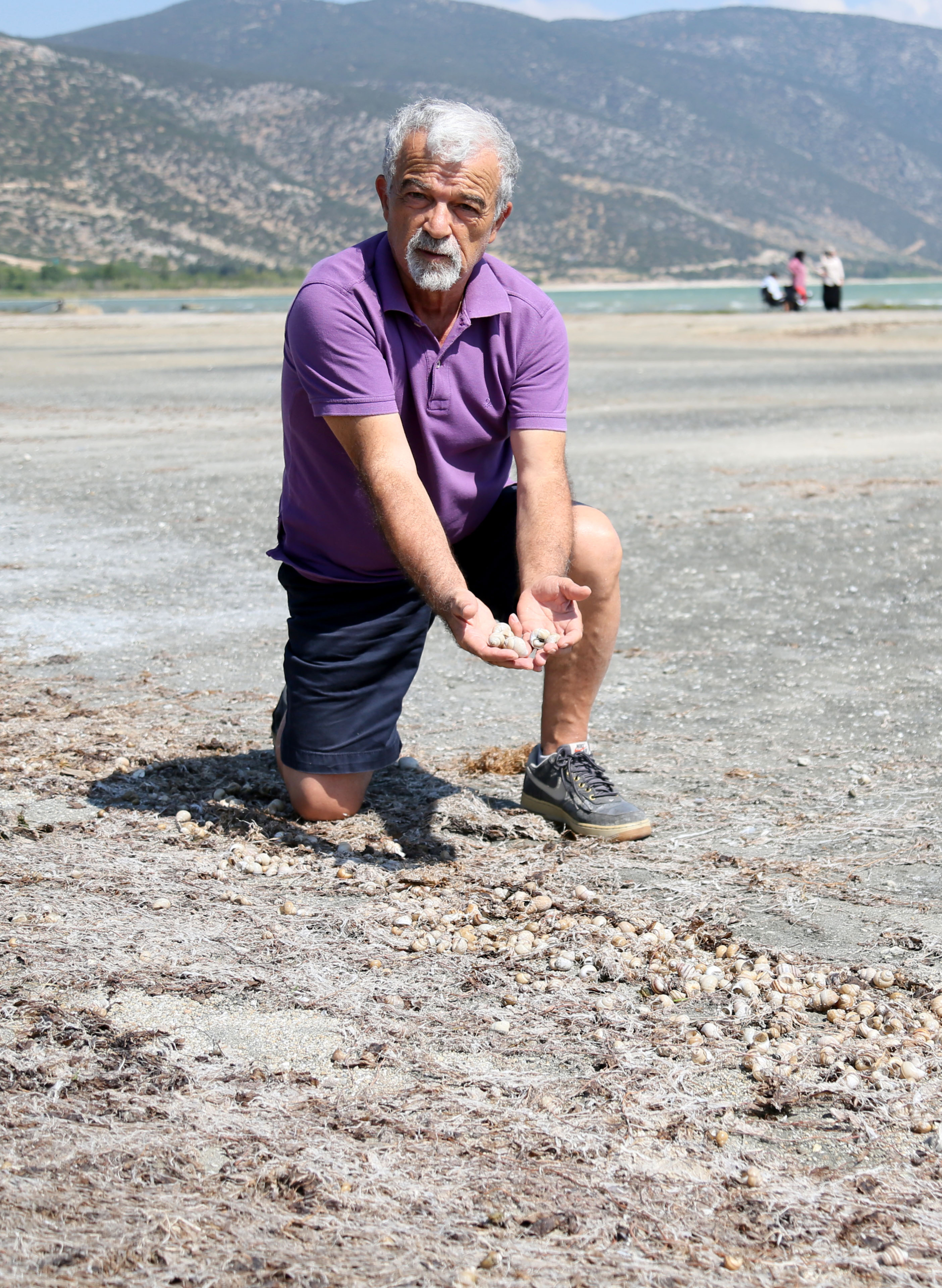 Eğirdir Gölü'nde binlerce kabuklu su canlısı ölüsü kıy.