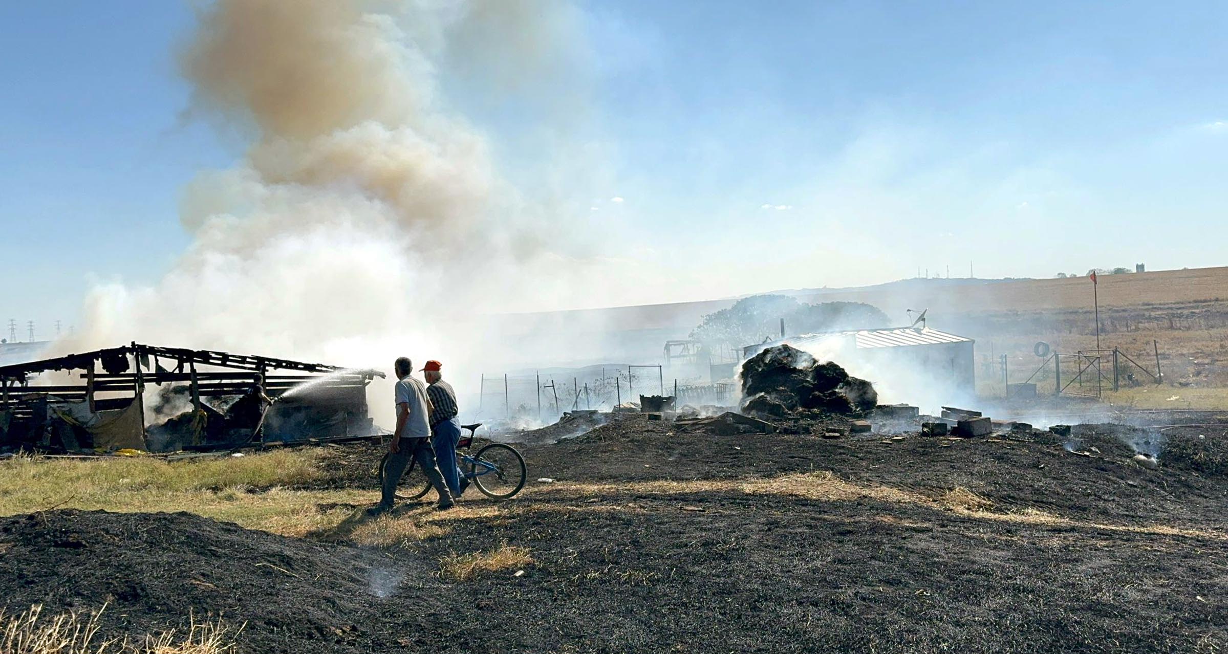 Tekirdağ'da çiftlikteki yangında 500 dönüm tarım arazisi