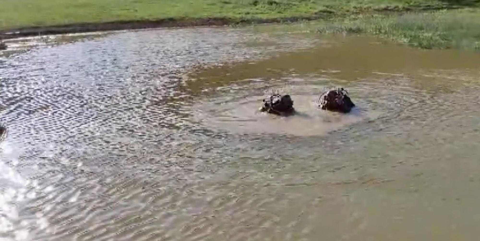 ERZURUM'da gölete giren 3 çocuktan biri boğuldu (VİDEO EKLEN