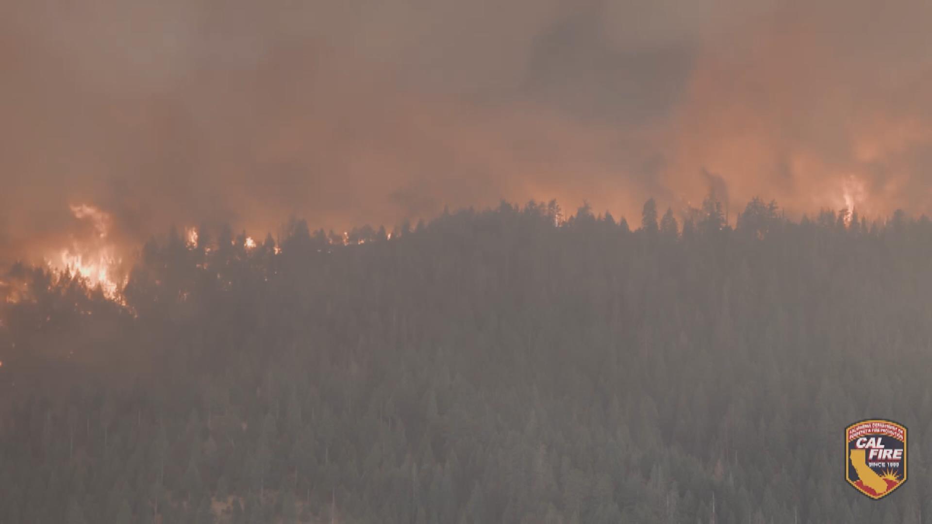 Kaliforniya’da orman yangını: Eyaletteki en büyük 7’nci