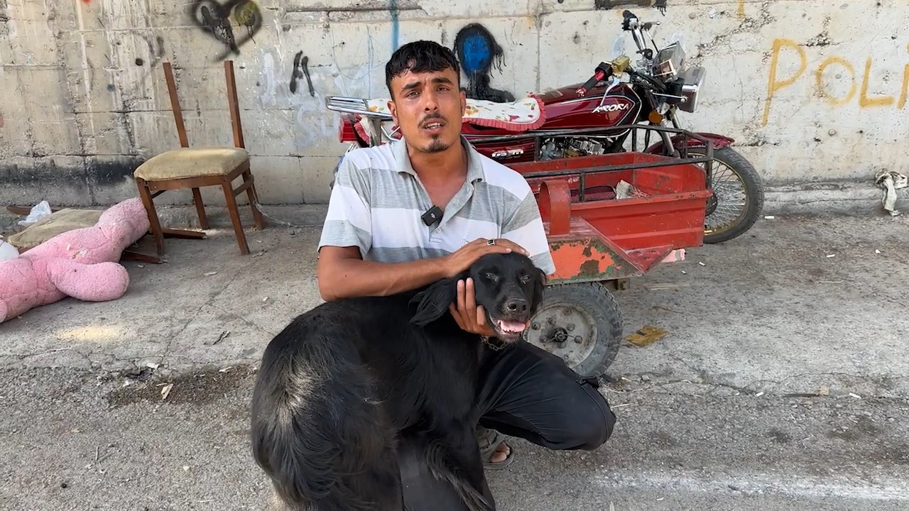 Kamyonete bağlanan köpeği sürüklemişti: Aracın içine ba.